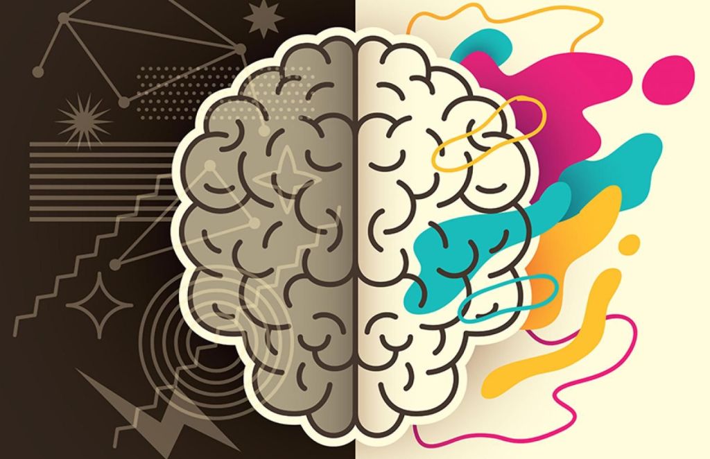 Should You Take AP Psychology? This Student Says&nbsp;Yes.